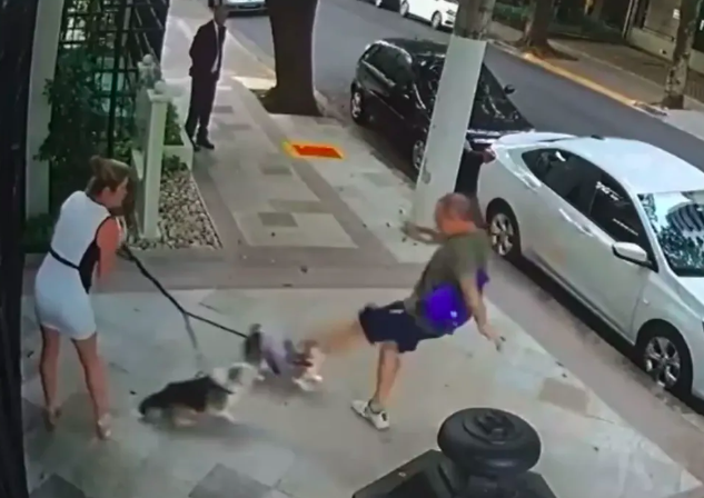 Homem que agrediu irmã de Cristiano Zanin pede absolvição sumária