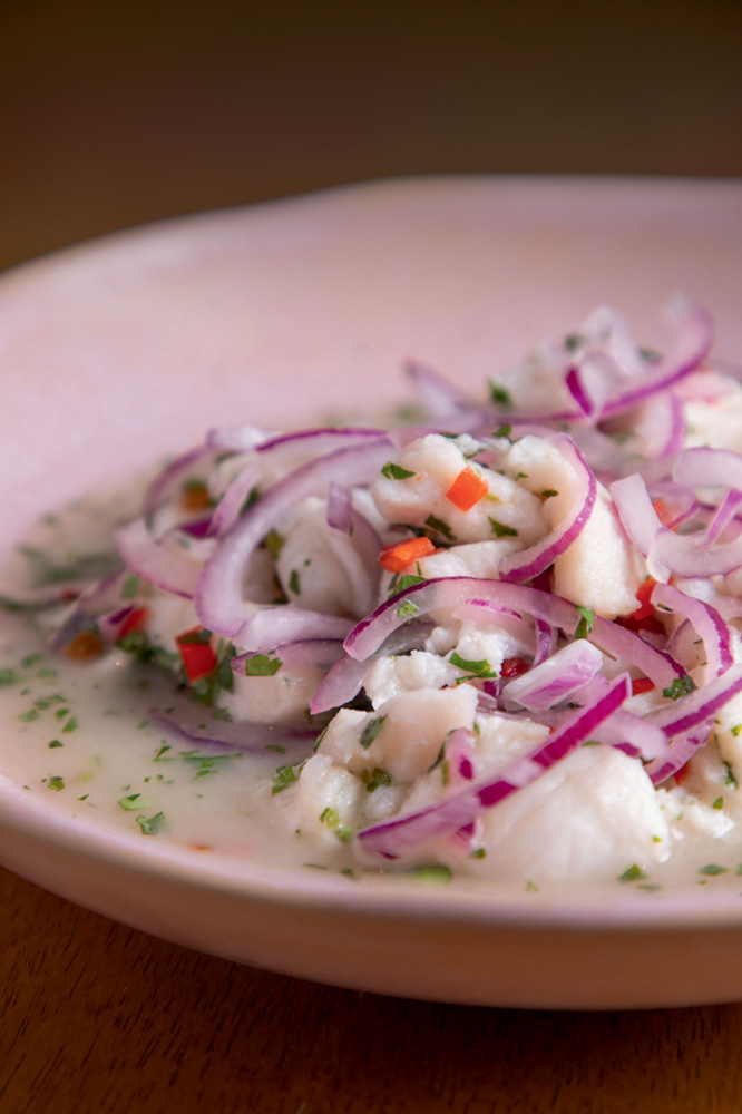 DaSelva Peixaria Amazônica Ceviche coberto por cebola-roxa