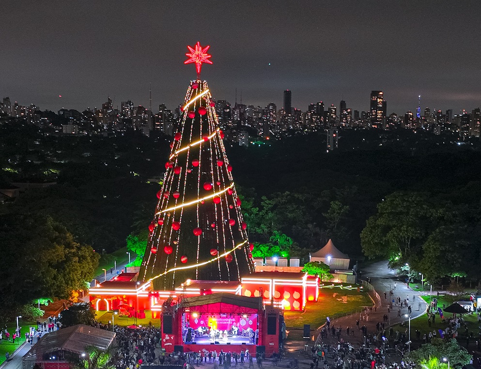 Ibirapuera e Villa-Lobos voltam a montar árvores com mais de 50 metros