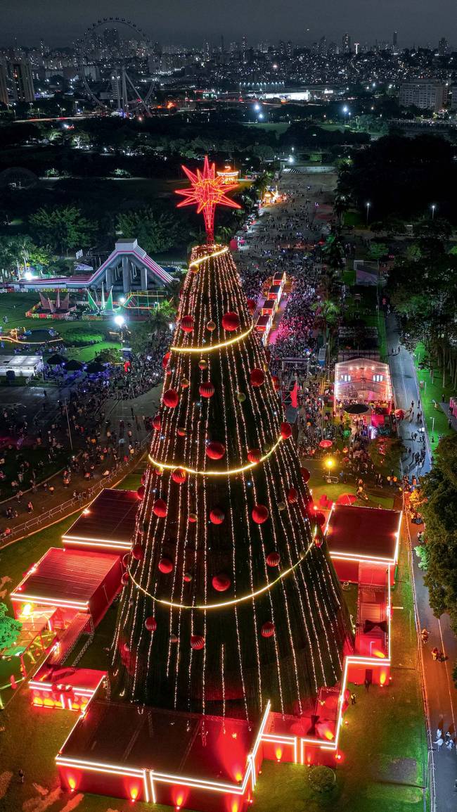 Árvore de Natal no Villa-Lobos