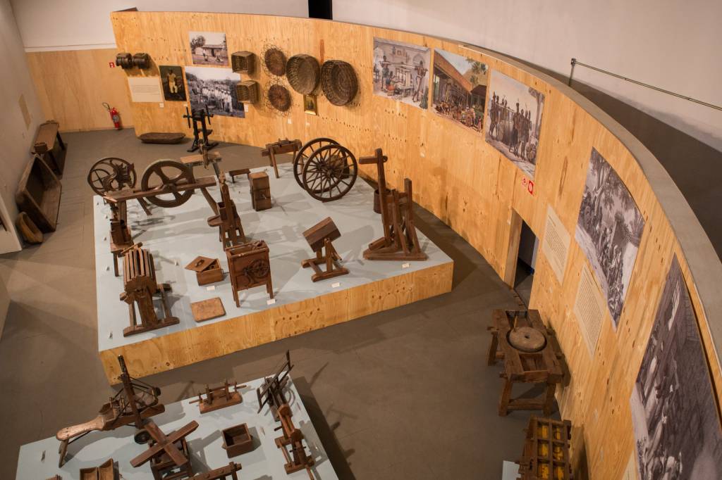 Dia da Consciência Negra tem programação cultural gratuita em SP