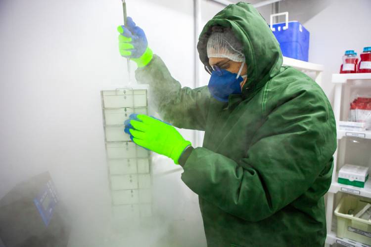 Instituto Butantan trabalha em vacina contra o Zika