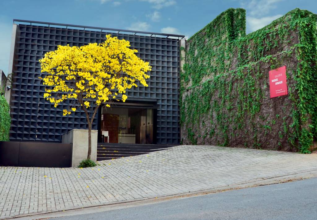 Galeria Raquel Arnaud celebra 50 anos na vanguarda da arte contemporânea