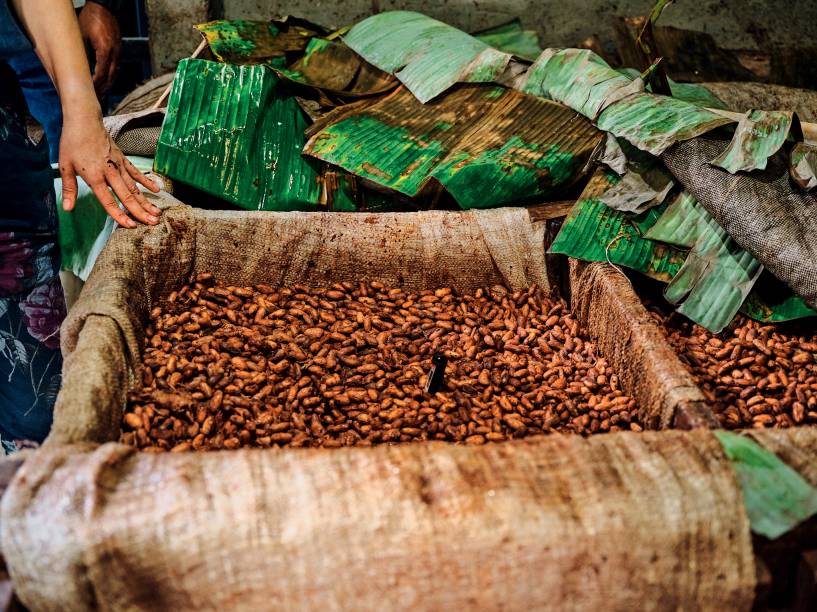 Controle da fermentação das castanhas: acompanhado por fabricantes como Arcelia Gallardo