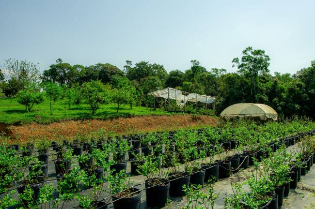 Campo.Verde_24.08.23_fotos.Daniel.Deák-0445 sitio-campo-verde