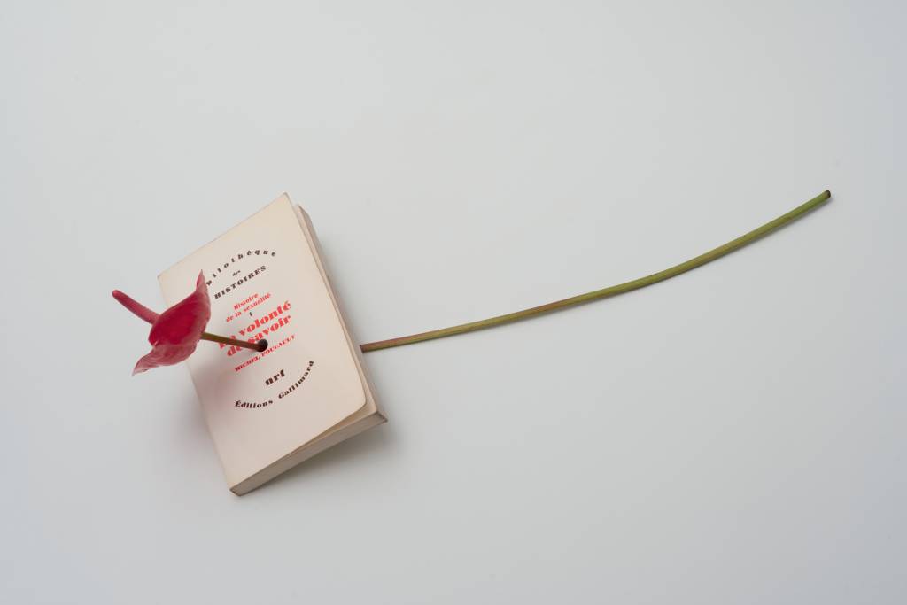 Biblioteca Mário de Andrade tem exposições de Thiago Honório e Ale Ruaro