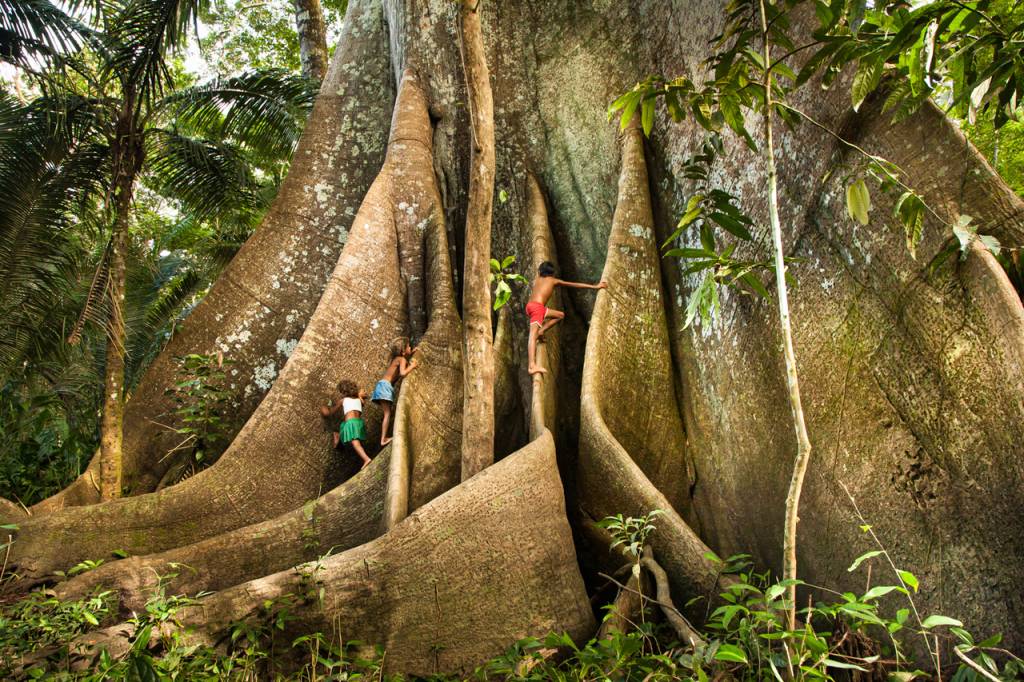 Livro de Araquém Alcântara narra o cotidiano de crianças da Amazônia