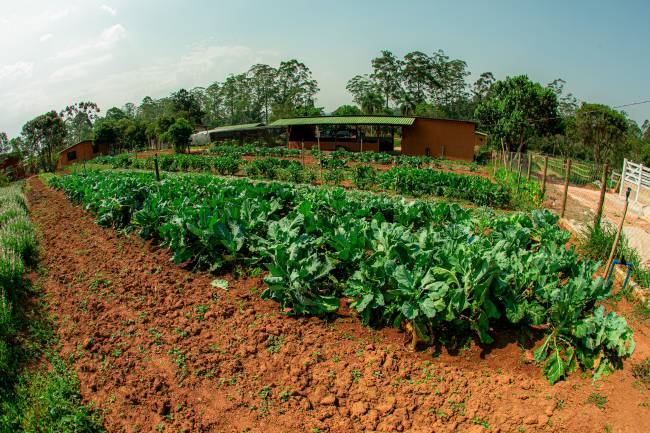 PoloEcot.Nutrify_270923_fotos.Daniel.Deák_0020 fazenda-nutrify