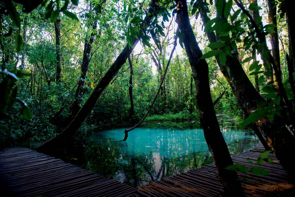 Além do turismo de aventura, Brotas (SP) também é destino para sossego