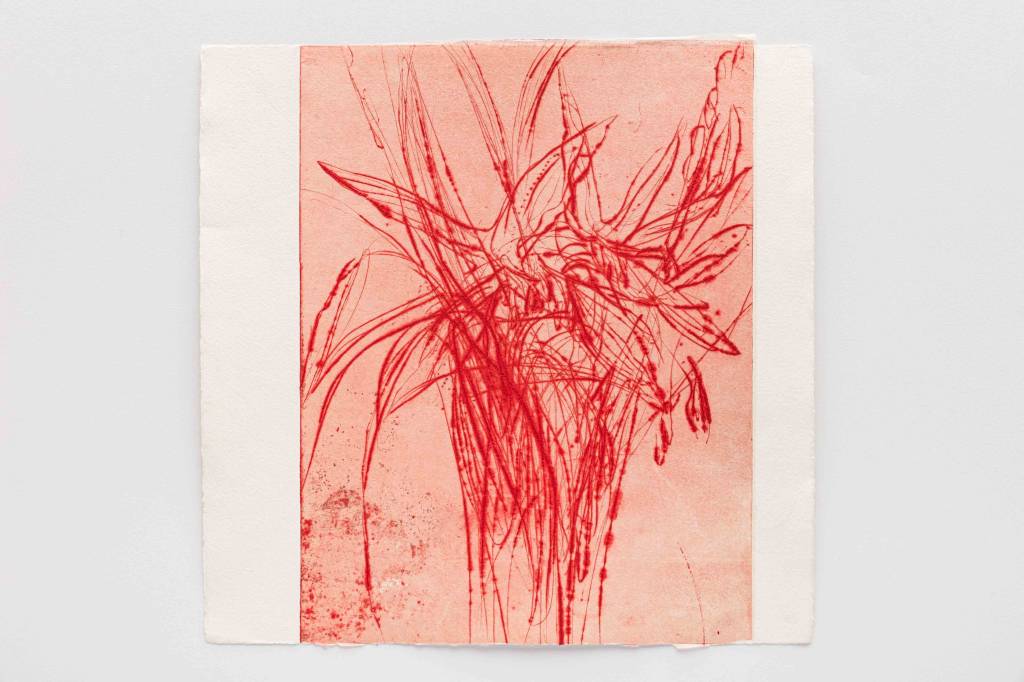 Ulysses Bôscolo apresenta gravuras em metal em ‘As mais belas borboletas’