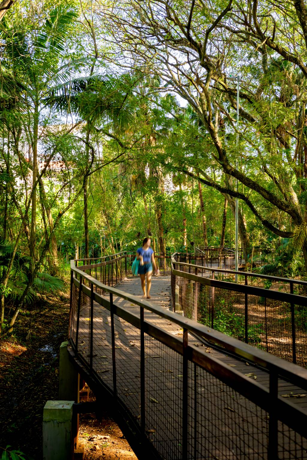 Parque Linear Água Podre – Ypuera, no Butantã Parque Linear Água Podre – Ypuera, no Butantã