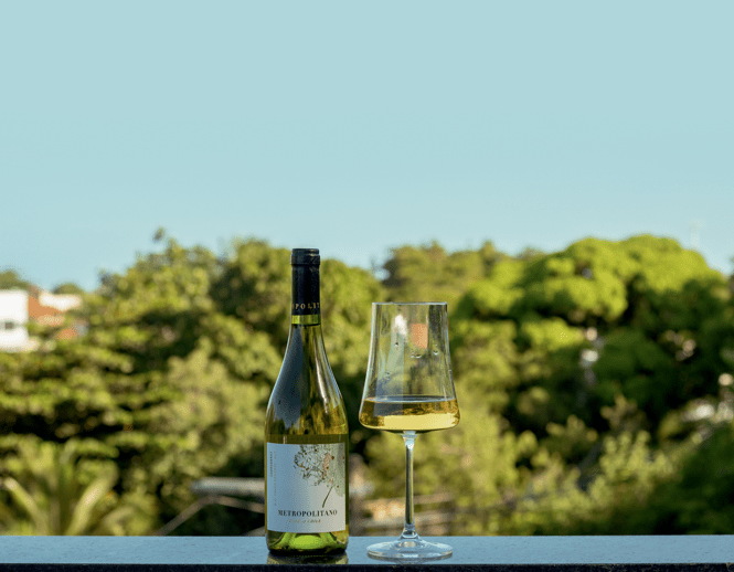 Garrafa de vinho e taça de vinho em cima de bancada com fundo de árvores