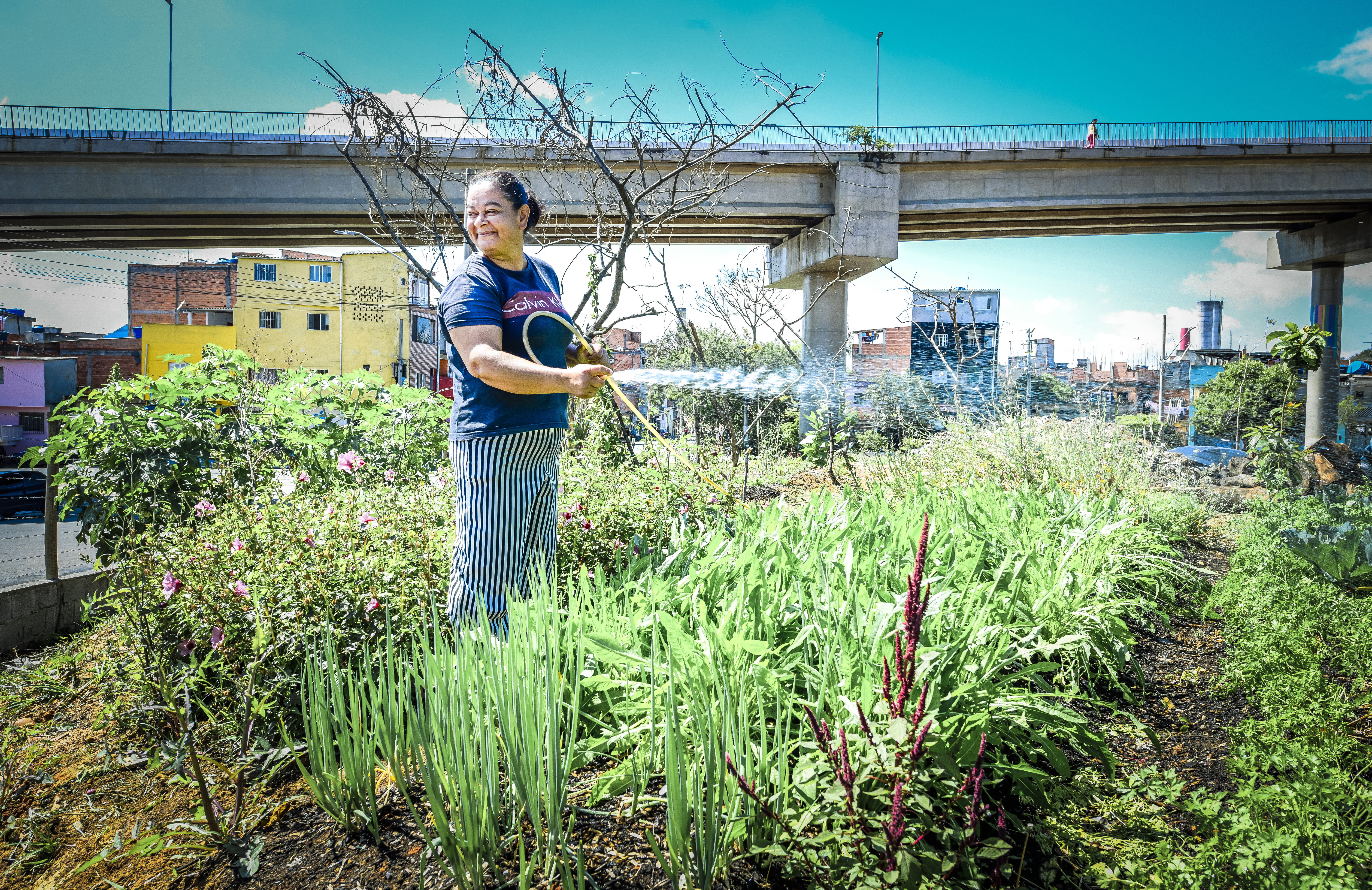 Horta Comunit&aacute;ria