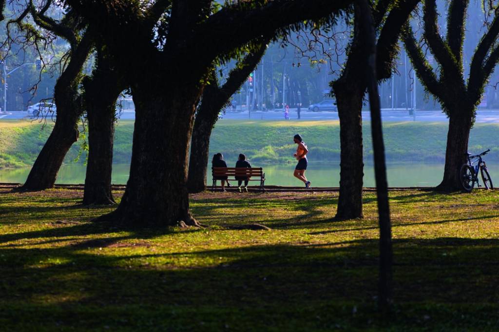 Parques de SP celebram o Dia Nacional do Pau-Brasil