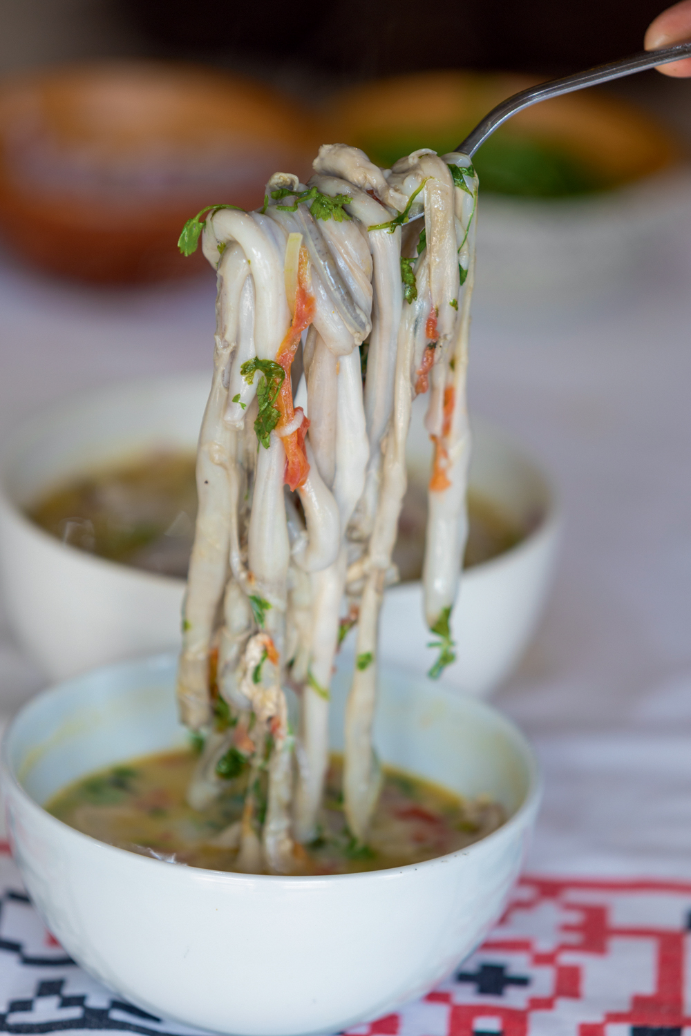 Pará Ceviche de Turo na Ilha do Marajó: sabor marcante
