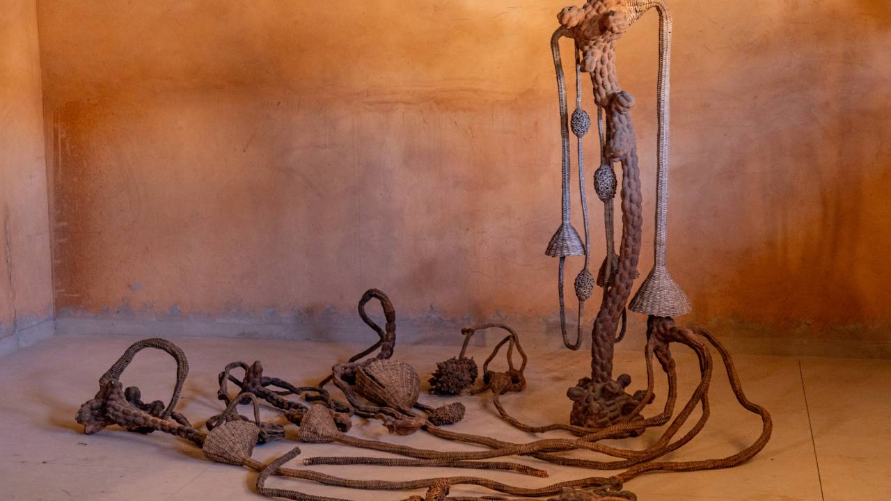 'Raízes mortas da natureza e cipó' (2015 – 2023), de Advânio Lessa