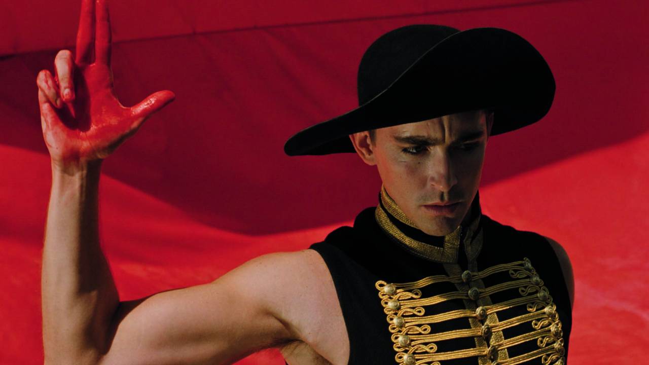 the-fall-lee-pace-duble-de-anjo