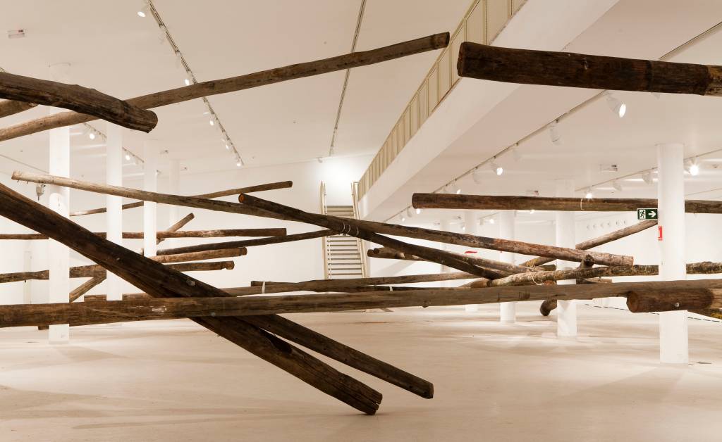 Carlito Carvalhosa é homenageado em duas exposições na capital