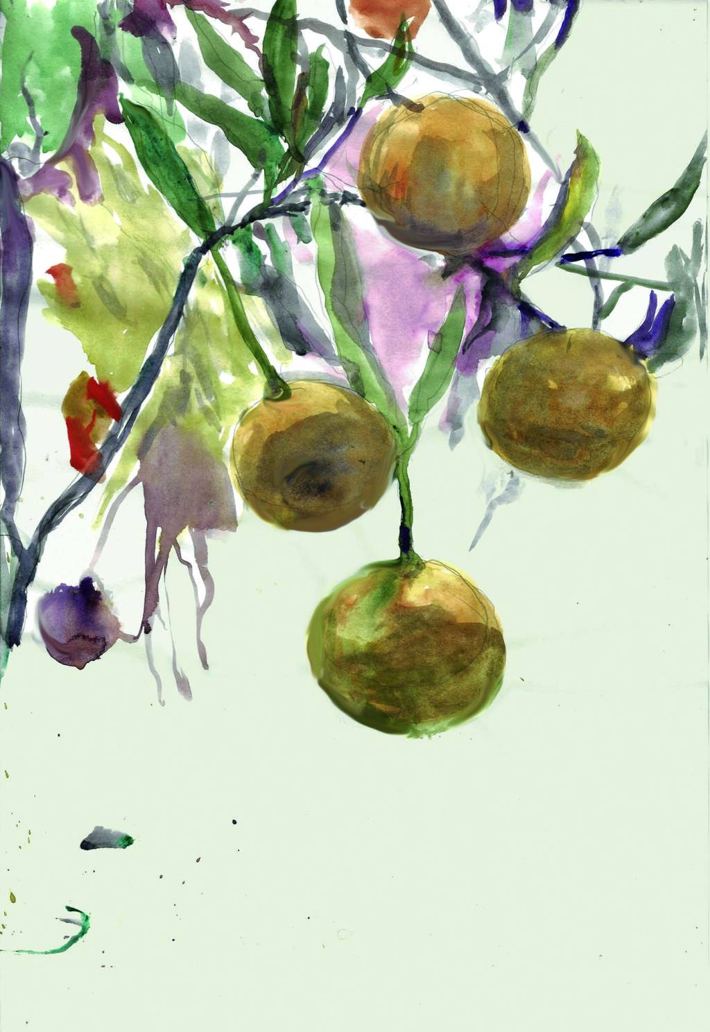 Mexericas, aquarela, 40,5 x 29,7 cm, 2024 Mexericas, aquarela, 40,5 x 29,7 cm, 2024