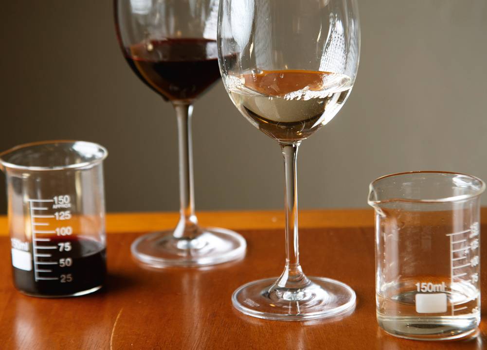 Cacho Bar: vinhos com opções em taça