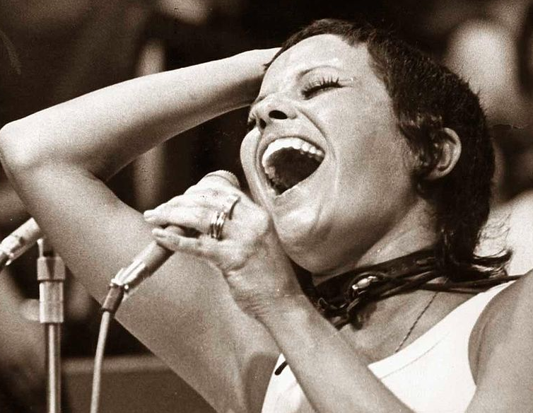 Carnaval 2025: Sargento Pimenta vai homenagear Elis Regina em desfiles em SP e Rio