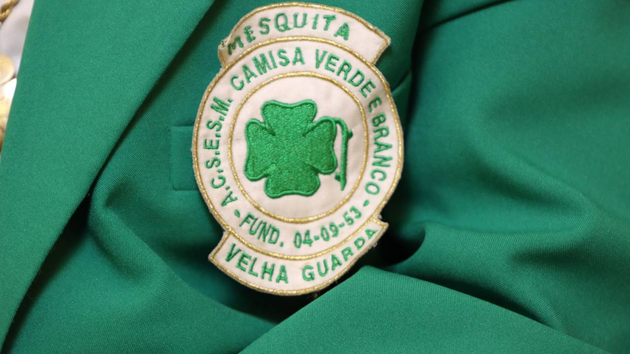 camisa-verde-e-branco-escola-de-samba