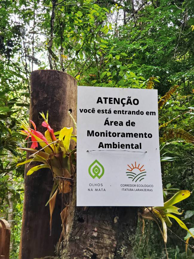 20230402_111341.jpg associacao-da-mata-preservacao-mata-atlantica