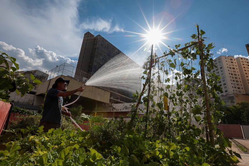 Horta Urbana, no centro de São Paulo: plantas também demandam mais cuidados no calor