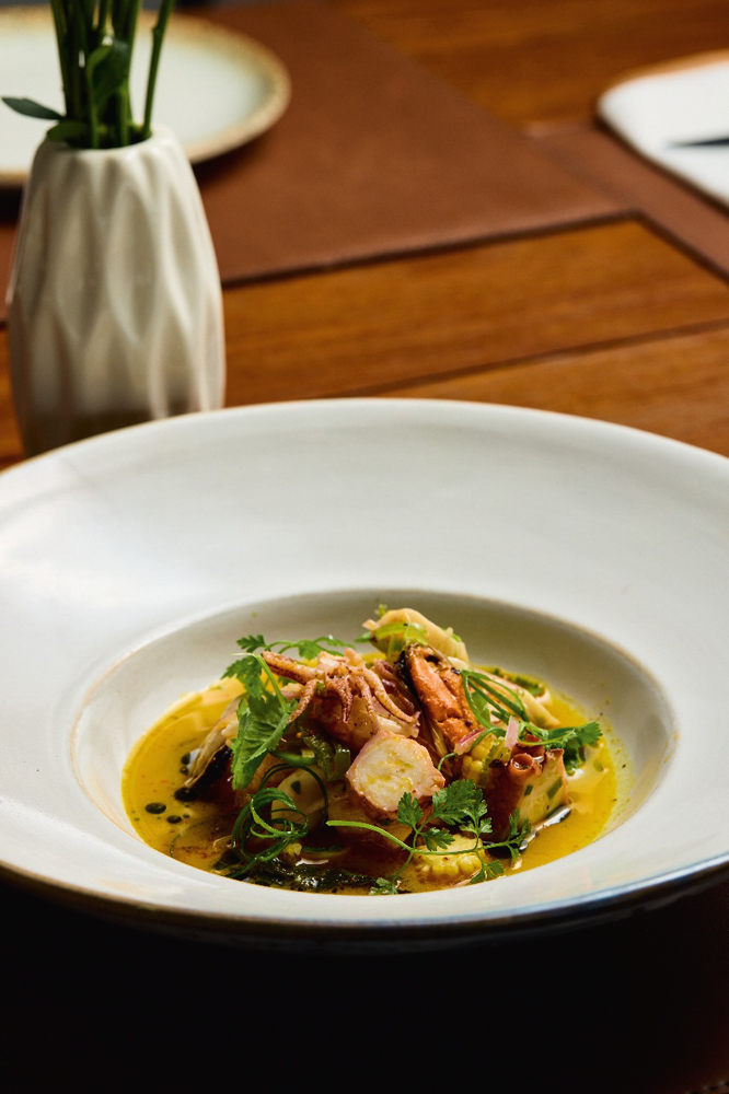 Ceviche – Vista Ibira.jpg Ceviche em prato branco