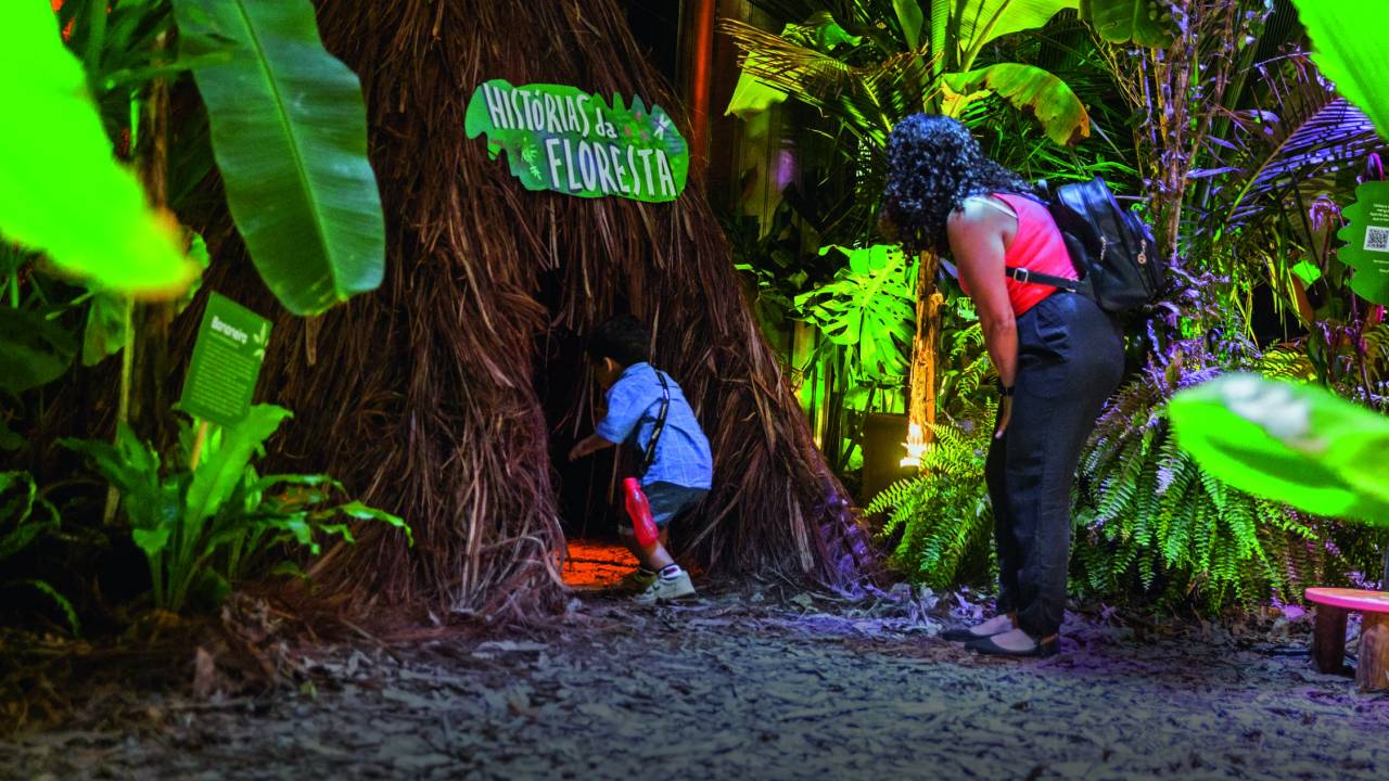 Águas que contam histórias: experiência sensorial no Museu Catavento
