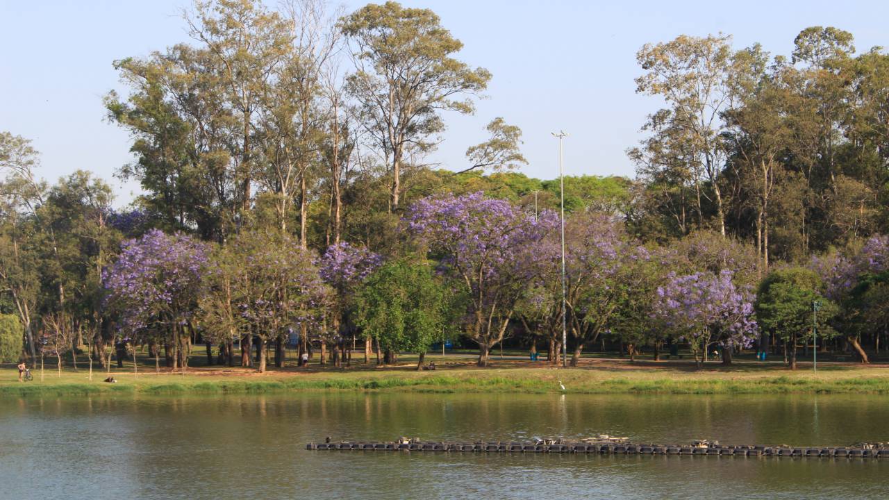 lago-do-parque-do-ibirapuera