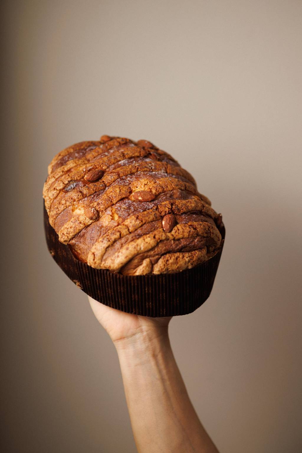 R5B_8547 Colomba com fundo decorado e cinza