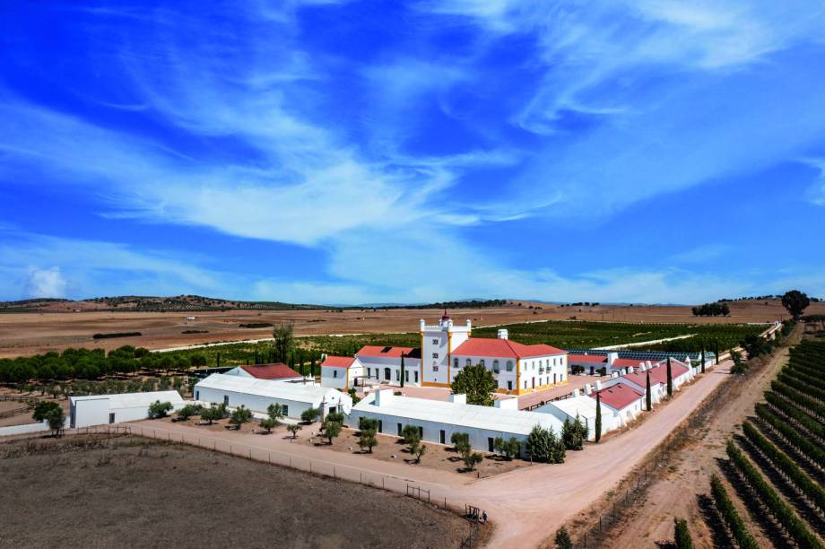 Torre de Palma Wine Hotel: produção de vinhos e vista para os vinhedos