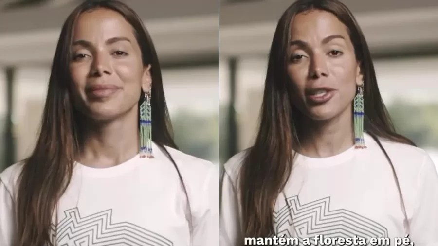 anitta-demarcacao-terras-indigenas