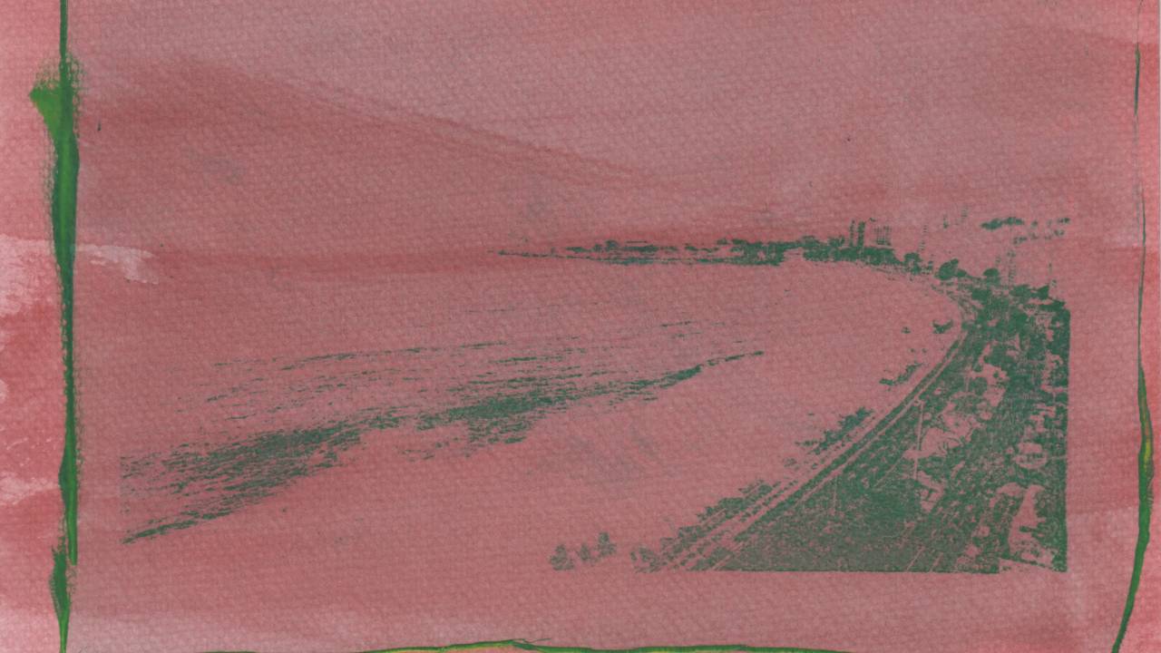carolina-vigna