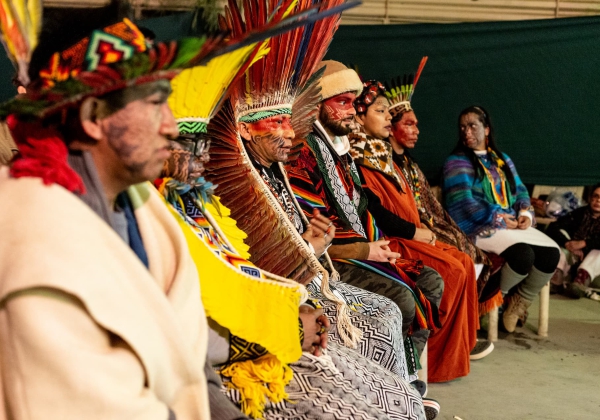 fiup-festival-indigenas
