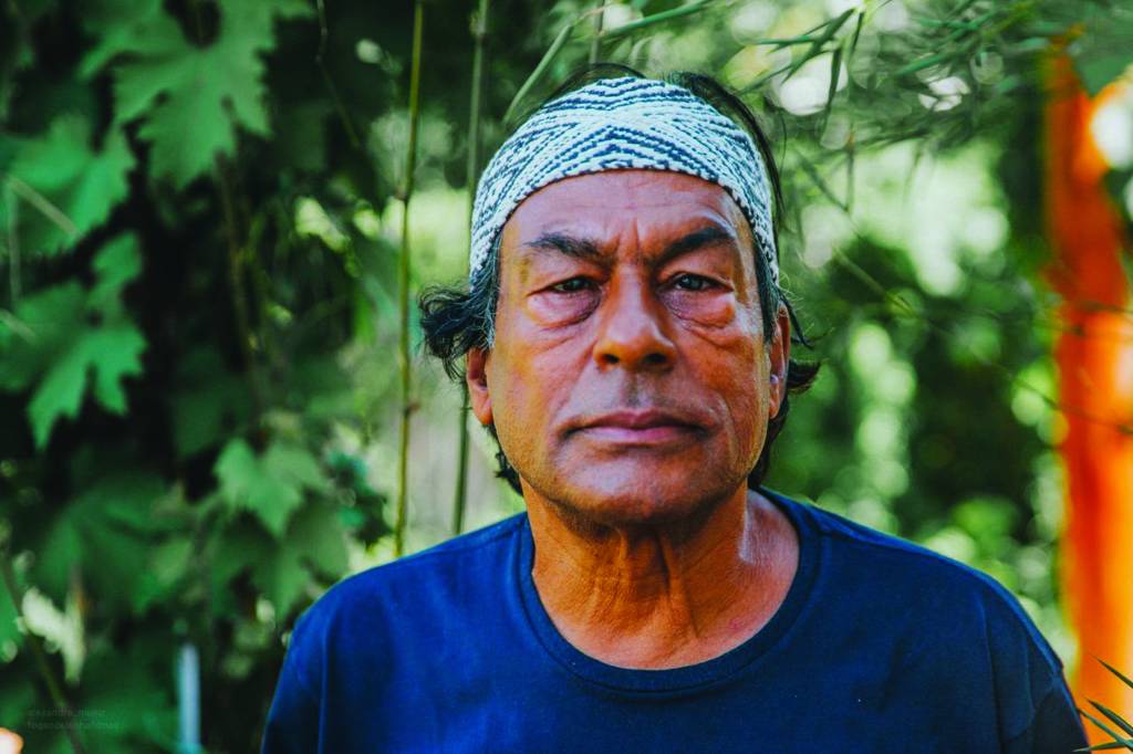 Ailton Krenak: “Do sonho você extrai coragem”