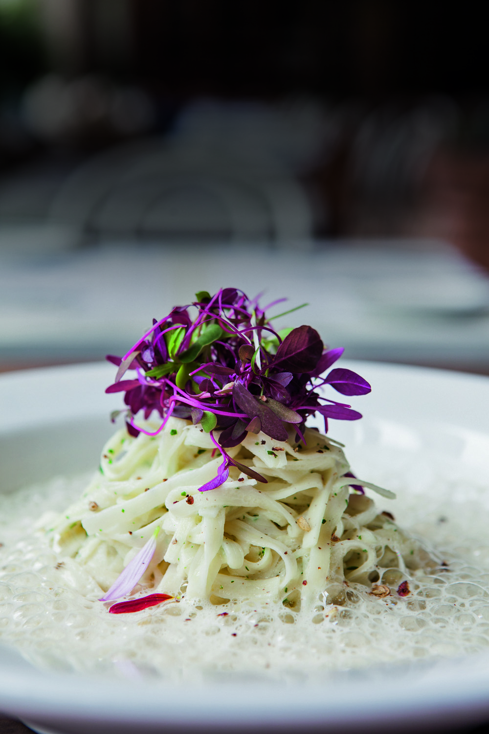 Manioca_ talharim de pupunha ao molho parmesão _ Lufe Gomes.jpg Talharim de palmito pupunha ao molho de parmesão do Manioca