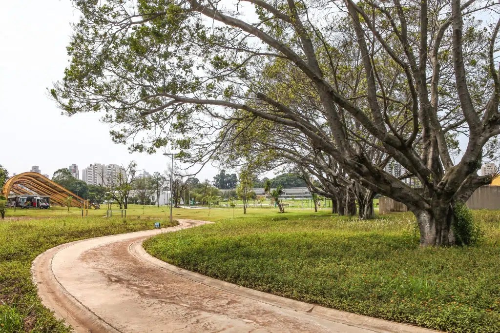 Parque no Belém