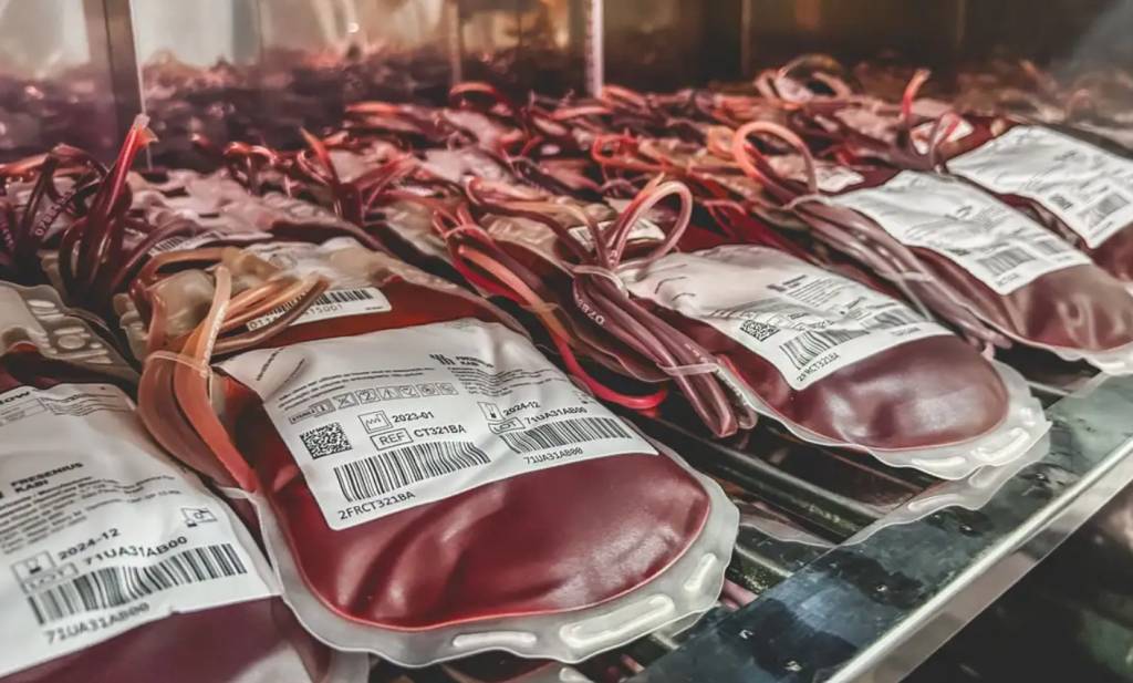Dia Mundial do Doador de Sangue: uma única doação pode salvar 3 vidas