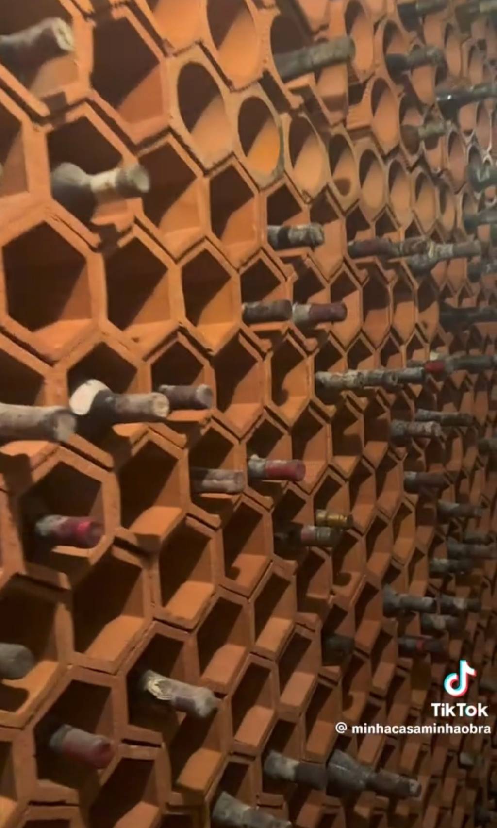 Casal encontra adega de vinhos escondida durante reforma e viraliza