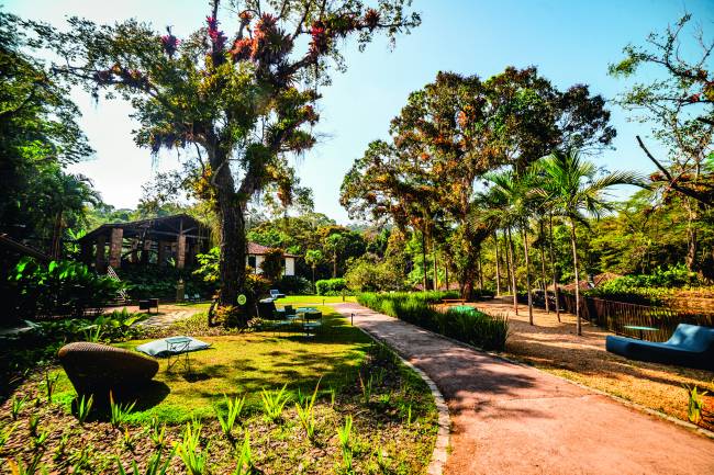 CEuu fazenda-bananal-paraty