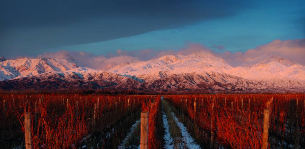 Terrazas de los Andes, em Mendoza, produz alguns dos melhores vinhos da Argentina