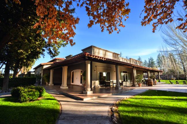 terraza-los-andes-viagem-vinicola-argentina