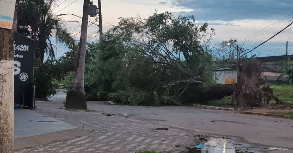 Ciclone: ventos fortes causam estragos em várias partes do estado