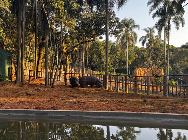 54672644497_1d0f2ee3b1_c