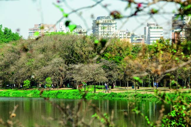Parque Ibirapuera