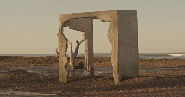 la-marcha-del-liquen-tania-ximena