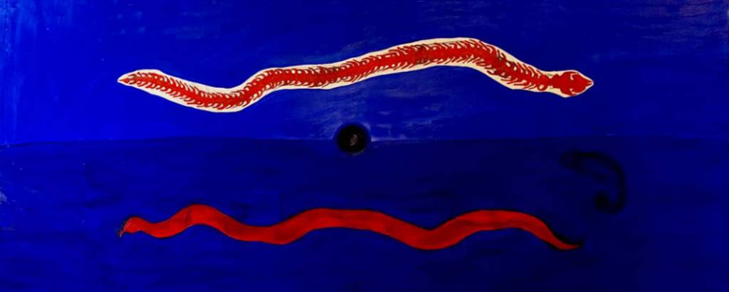 MAC-USP exibe primeira mostra individual de Luara Macari