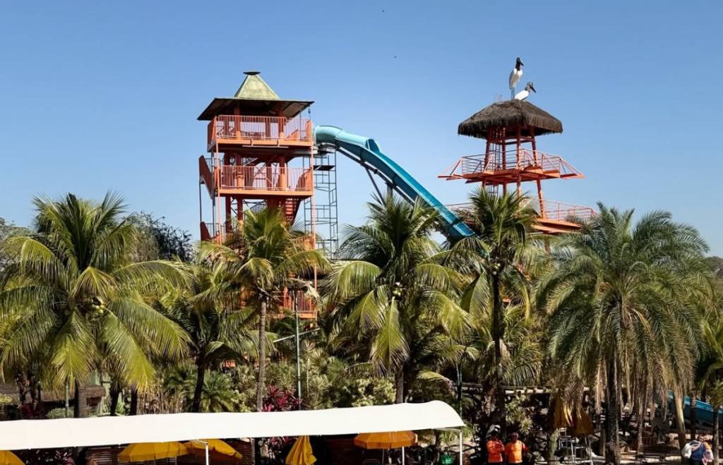 Interior de SP: adolescente morre ao cair de altura de 13 metros em parque aquático